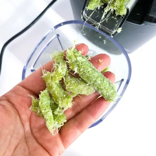 What to Do with the Pulp